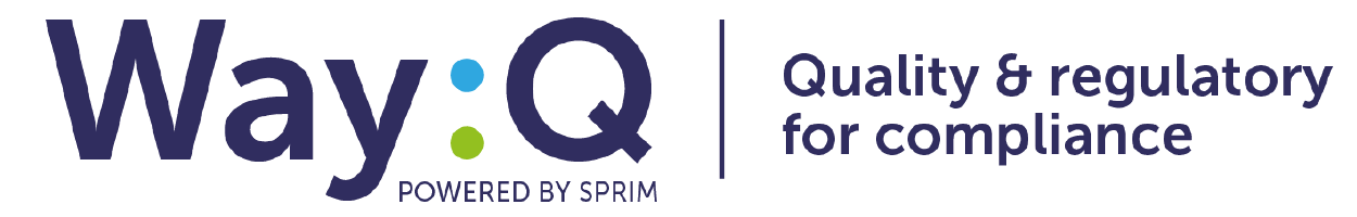 Logo Way:Q